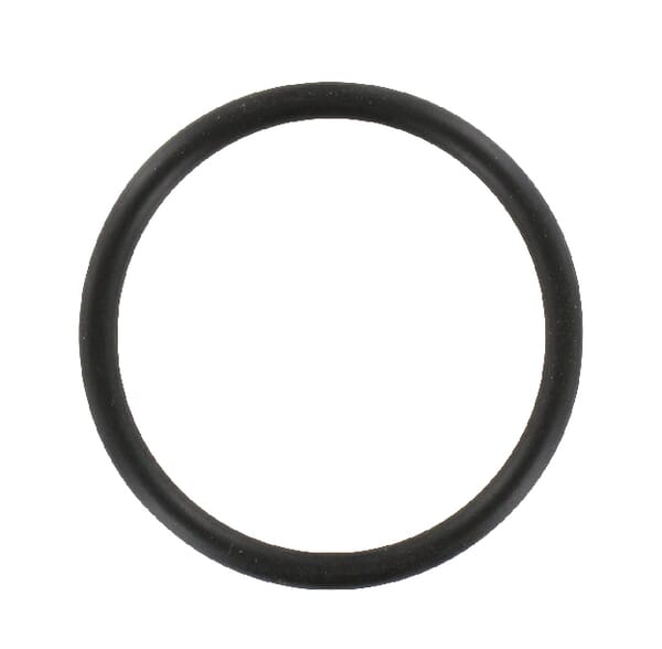 R541830 O-Ring