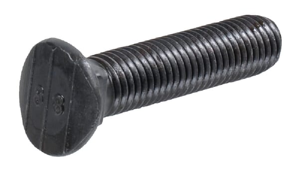 Schraube 100323306