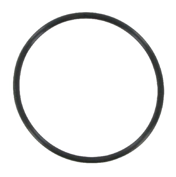 Filterung O-Ring CH17154