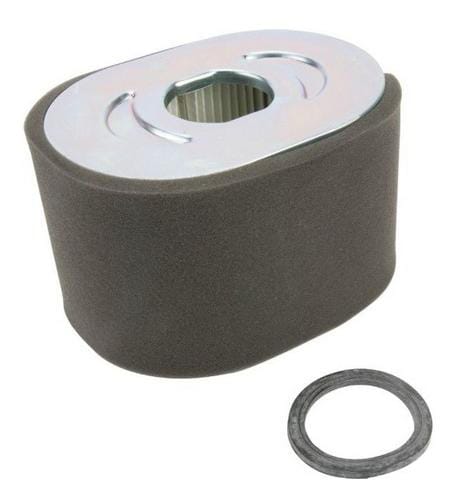 Luftfilter oval (799818) von Briggs & Stratton. Aus unserem Sortiment für Verbrennungsmotoren - Briggs & Stratton