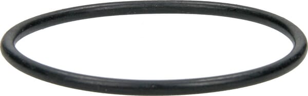 O-Ring 90x5mm aus der Kategorie Rückenspritzen und Handspritzen