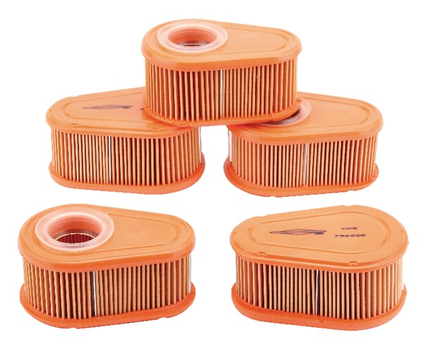 Vorratspack Filter 5 x 792038 (4245) von Briggs & Stratton. Aus unserem Sortiment für Verbrennungsmotoren - Briggs & Stratton