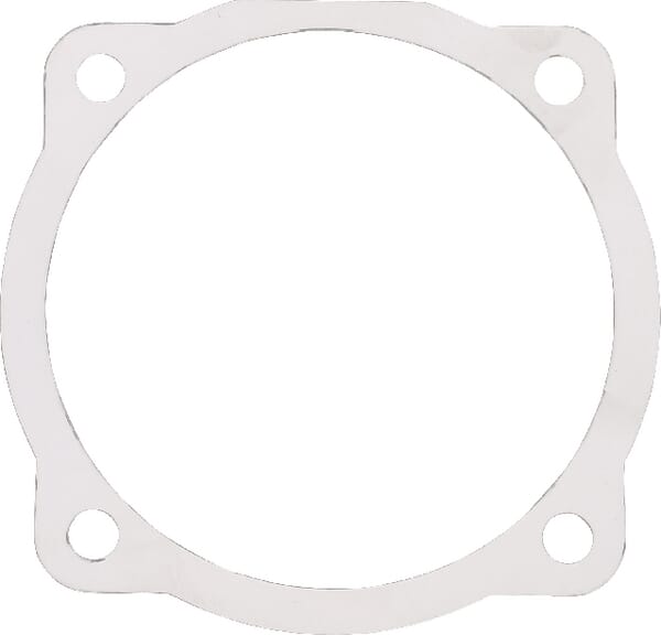 Dichtung (M29100106R) – passend für Maschio