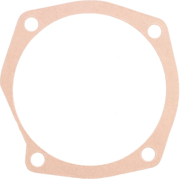 Dichtung 0.5 mm (M13100126R) – passend für Maschio