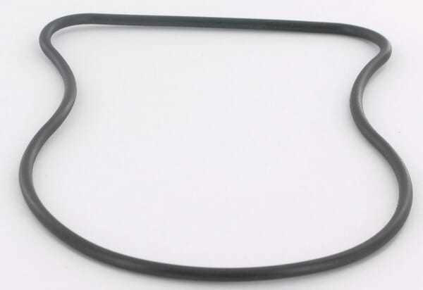 O-Ring (29891)