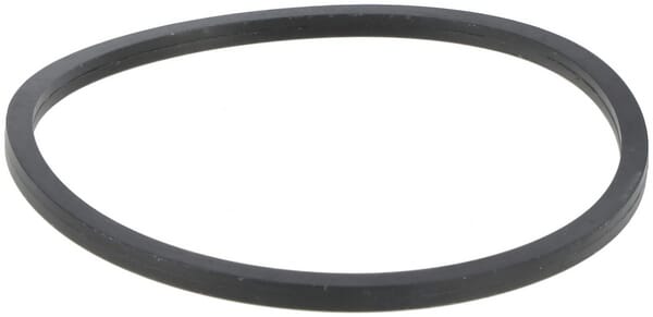 Dichtring (P788048)