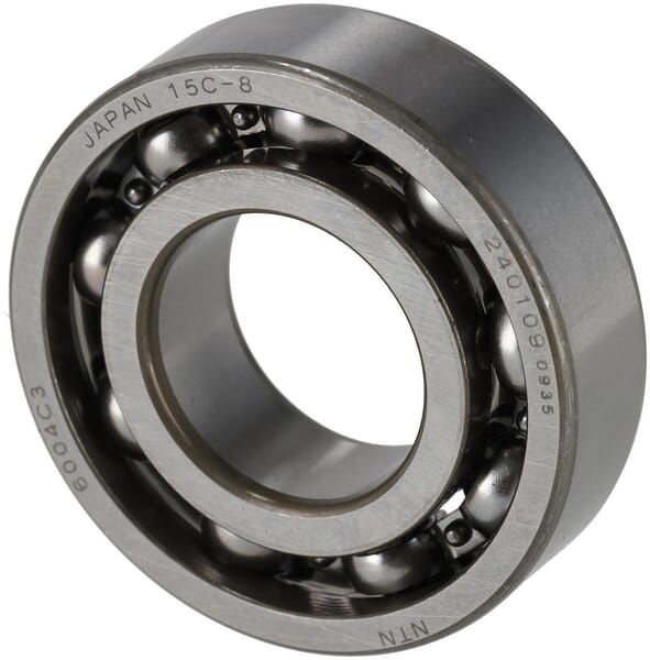 Lager 6004 C3 (187N0014130)