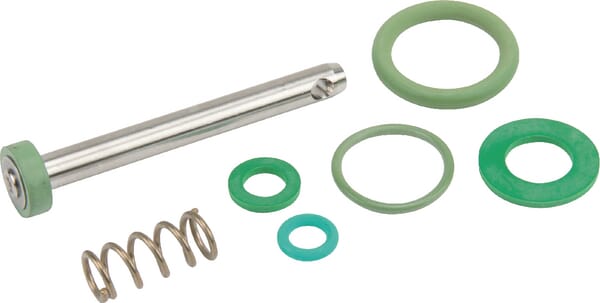 Dichtung Kit Ausl. Viton (10B) aus der Kategorie Rückenspritzen und Handspritzen