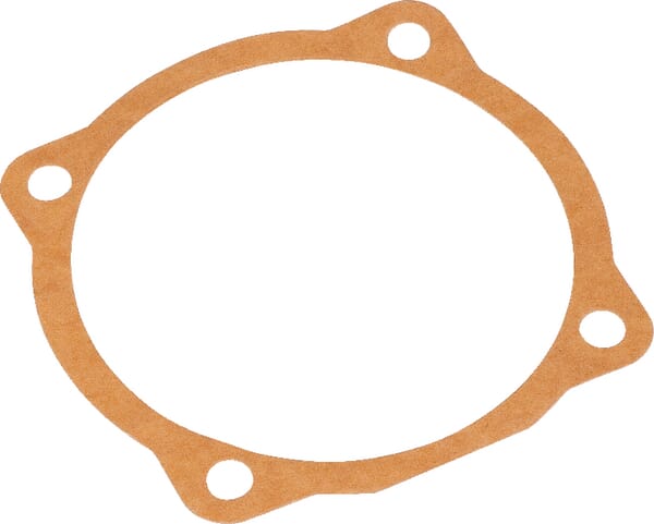 Dichtung (M29100107R) – passend für Maschio