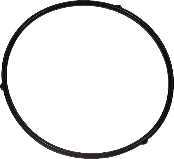 Dichtung (AK411906) von AL-KO. Aus unserem Sortiment für Verbrennungsmotoren - AL-KO