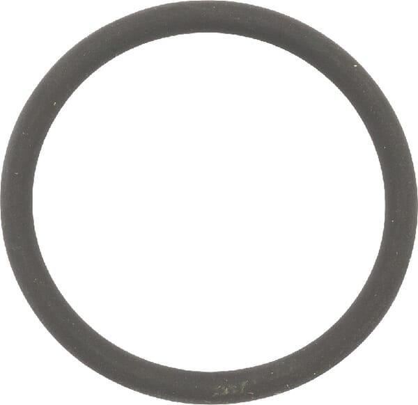 O-Ring aus der Kategorie Rückenspritzen und Handspritzen