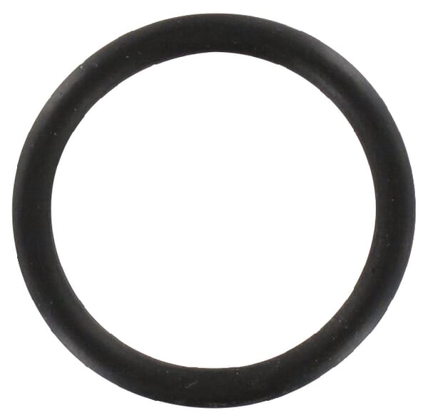 O-Ring aus der Kategorie Rückenspritzen und Handspritzen