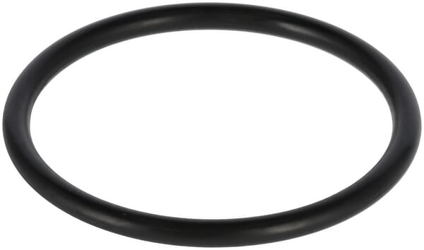 O-Ring 1A G40.0 (24321000400)