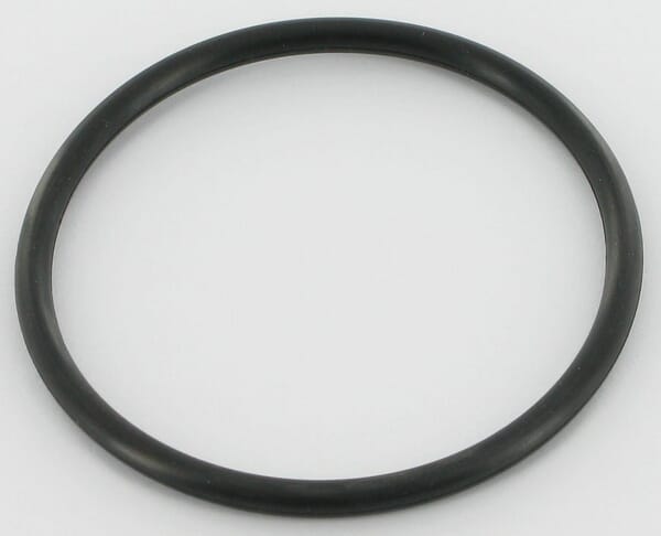 O-Ring aus der Kategorie Rückenspritzen und Handspritzen
