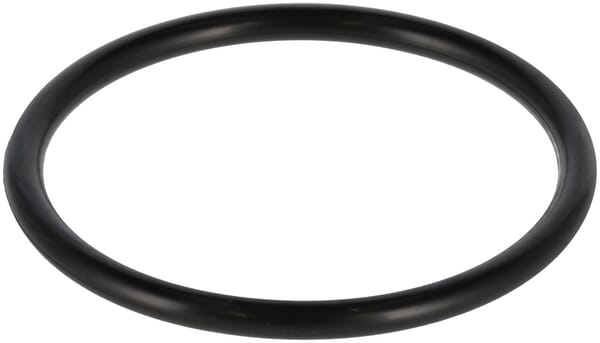 Filterung O-Ring MIU804762
