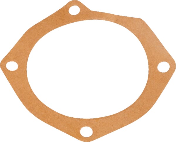 Dichtung (M10100165R) – passend für Maschio