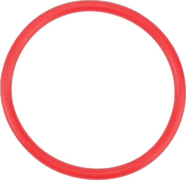 O-Ring aus der Kategorie Rückenspritzen und Handspritzen