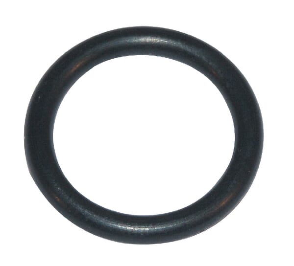 O-Ring (P792001)