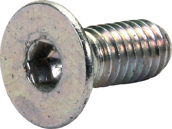 Schraube 4x10 5933, 10.9ZN (F01030011R) – Maschio