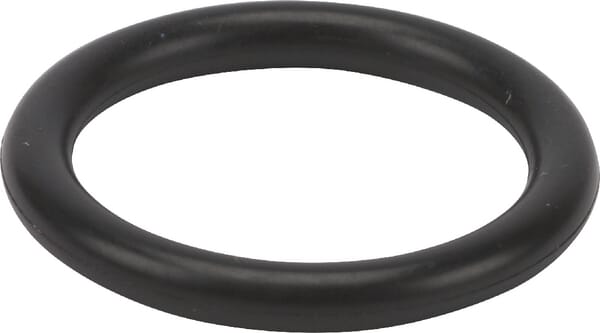 O-Ring 1a p16 (24311000160)