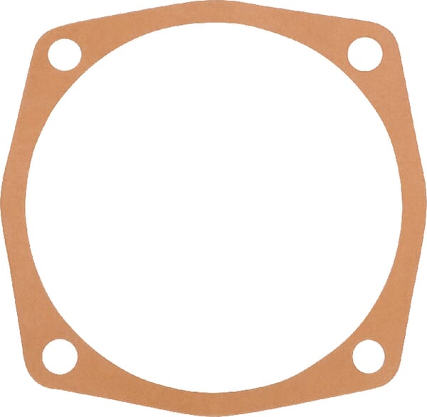 Dichtung 0,3 mm Maschio (M24100124R) – passend für Maschio