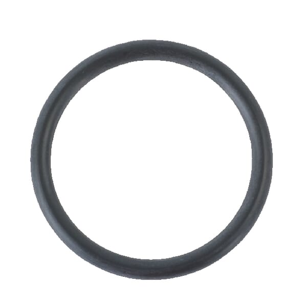 O-Ring (30214)