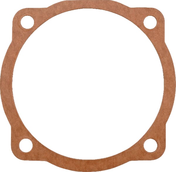 Dichtung (M29100109R) – passend für Maschio