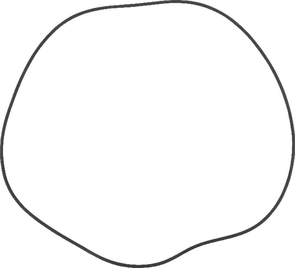 O-Ring (82060072) – Kuhn