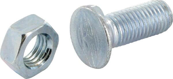 Pflugschraube mit 2 Nasen TF2E 11x30 mm VI1202