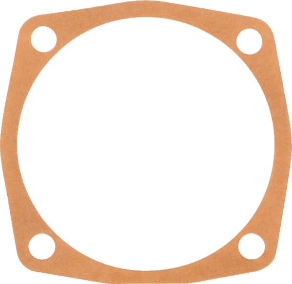 Dichtung B (M01110105R) – passend für Maschio