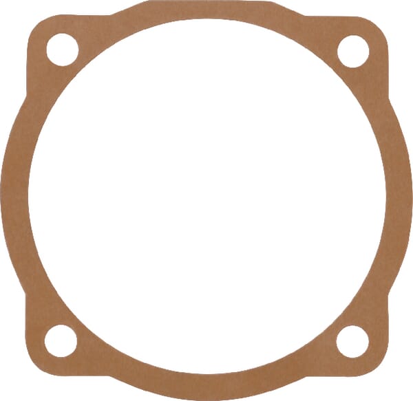 Dichtung (M29100108R) – passend für Maschio
