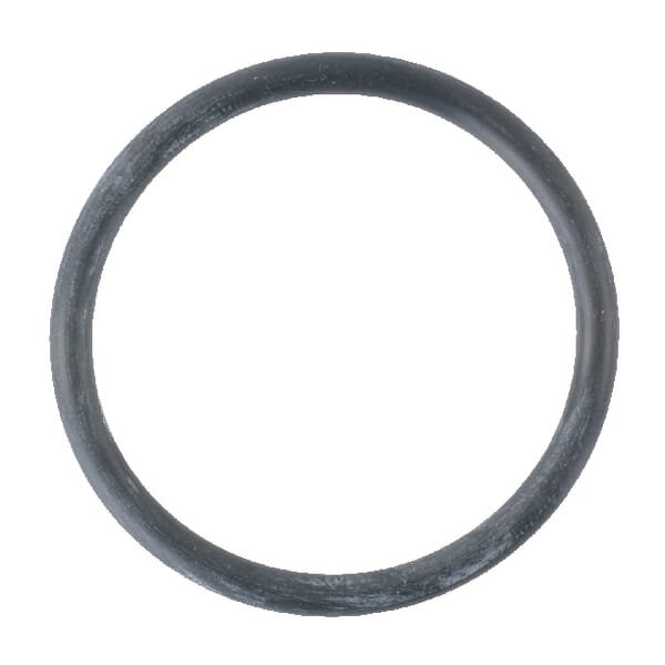 O-Ring (29381)