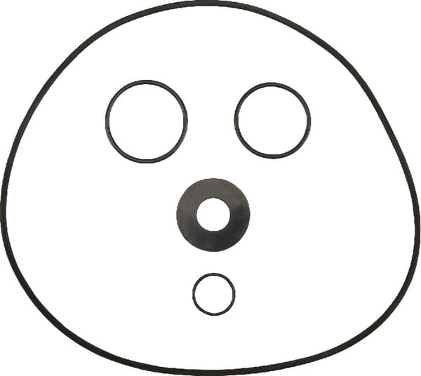O-Ringsatz (R00005202) von DAB