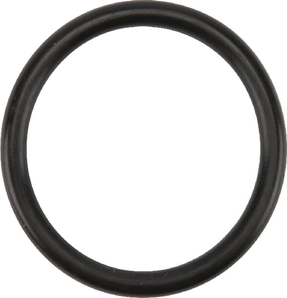 O-Ring 31,34 x 3,53 aus der Kategorie Rückenspritzen und Handspritzen