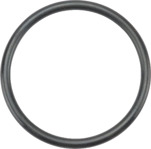 O-Ring aus der Kategorie Rückenspritzen und Handspritzen