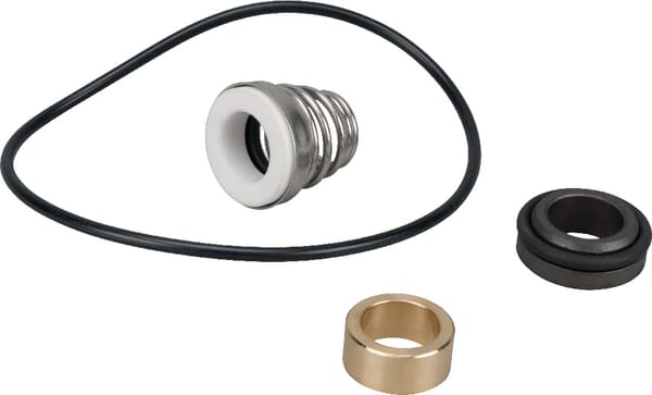 Dichtungsring (R00004853) von DAB