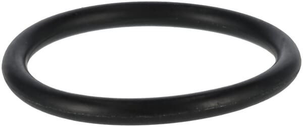O-Ring (P788077)
