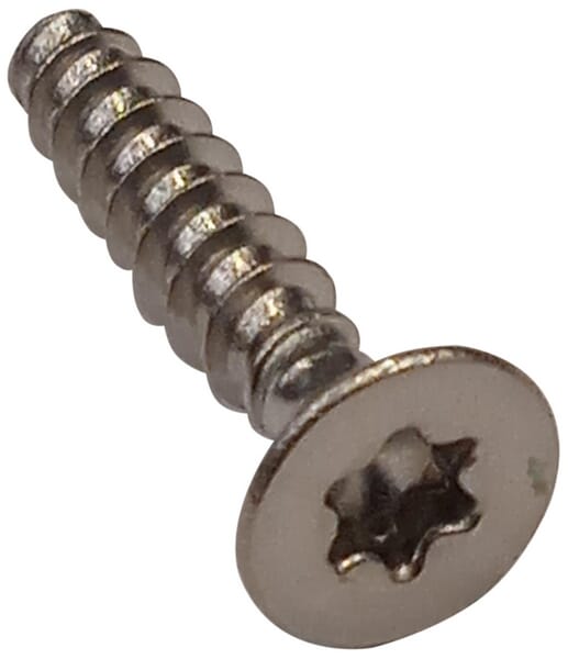 Torx-Schraube 4x20 (C02571) von Ambrogio