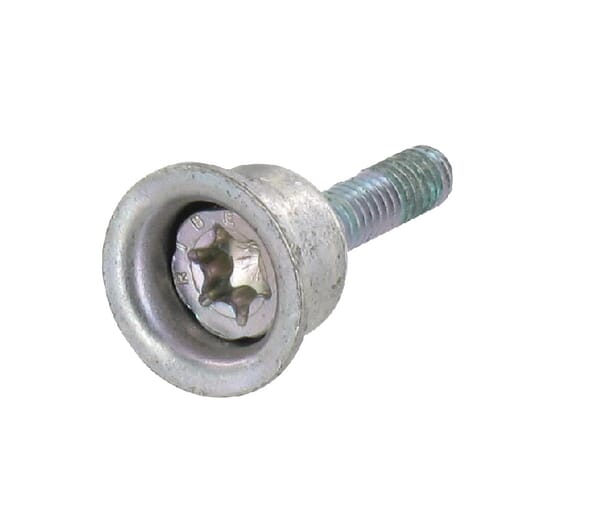 Kombischraube  4 mm (00007906100)
