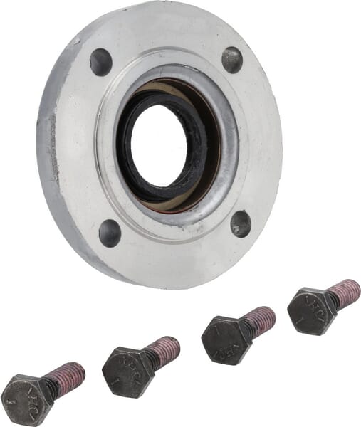 Dichtring Set (P786029)