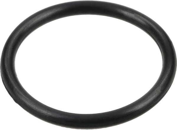 O-Ring aus der Kategorie Pumpen