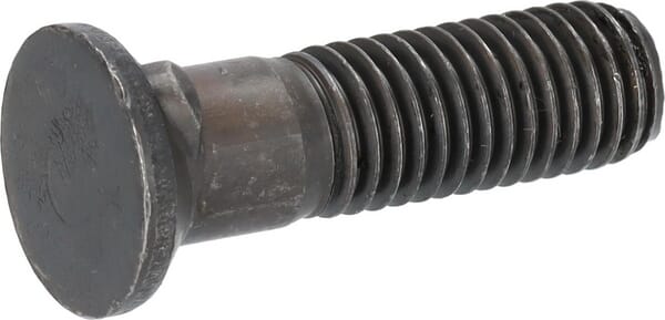 Pflugschr. m. 2-Na. M12x45 10.9 502513