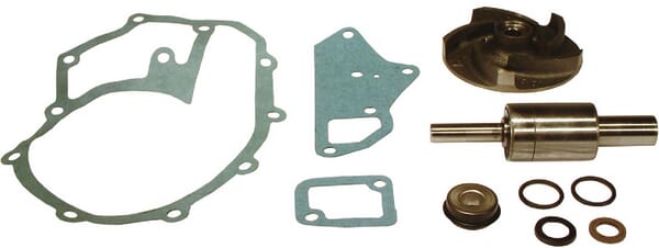 Prochem Shurflo Pumpen Reparatursatz – Endrahmen Mit Carbonlager, Passend Für 94-003-01 PU19