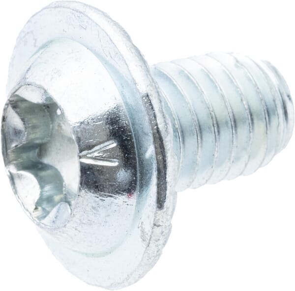 Torx-Hülsenkopfschraube (10x) (G00009174) - unserem Sortiment für AS-Motor Ersatzteile
