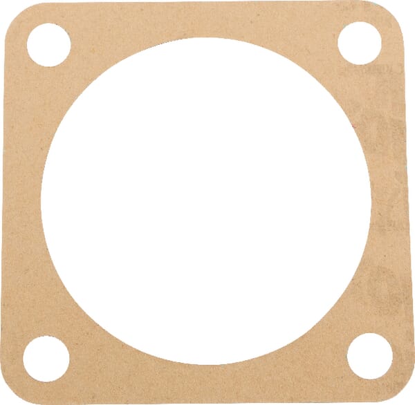 Dichtung Maschio (M10100315R) – passend für Maschio