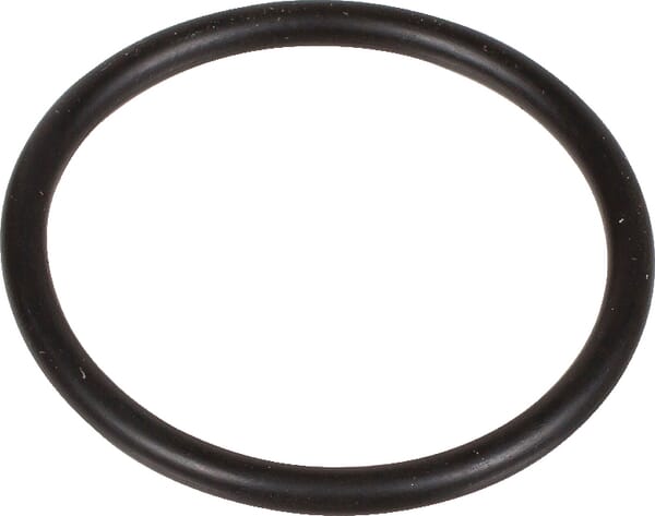 O-Ring 2,62 x 29,82 aus der Kategorie Pumpen