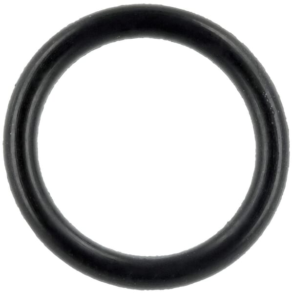 O Ring (P788076)