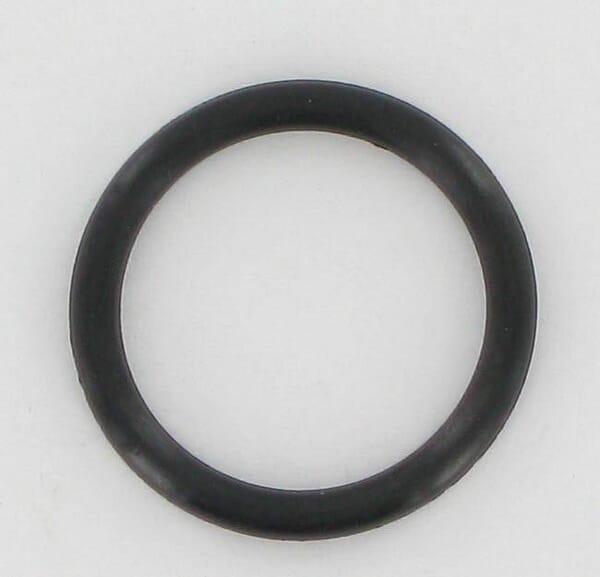 O-Ring aus der Kategorie Rückenspritzen und Handspritzen