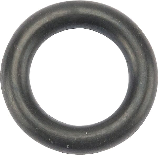 O-Ring aus der Kategorie Rückenspritzen und Handspritzen